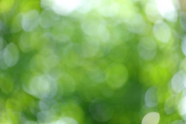 Üzerinden güneş ışığının defokus bulanık yeşil dairesel bokeh neden
