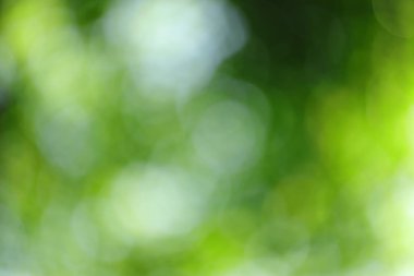 Üzerinden güneş ışığının defokus bulanık yeşil dairesel bokeh neden