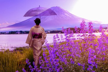 fuji dağı yanında bahçede lavanta çiçek alanı, Japonya