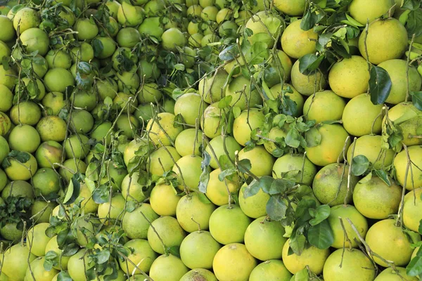 Big Pomelo Fruit Grapefruit Large Citrus Fruit Acid Juicy Pulp — Stock Photo, Image