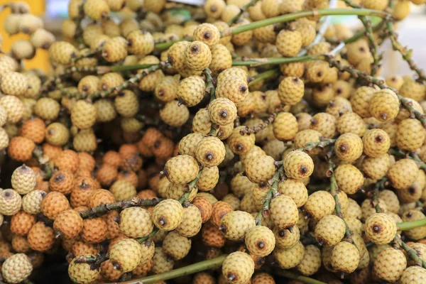 Semilla Palma Ratán Fruta Ratán Una Palmera Tailandia Áreas Tropicales — Foto de Stock