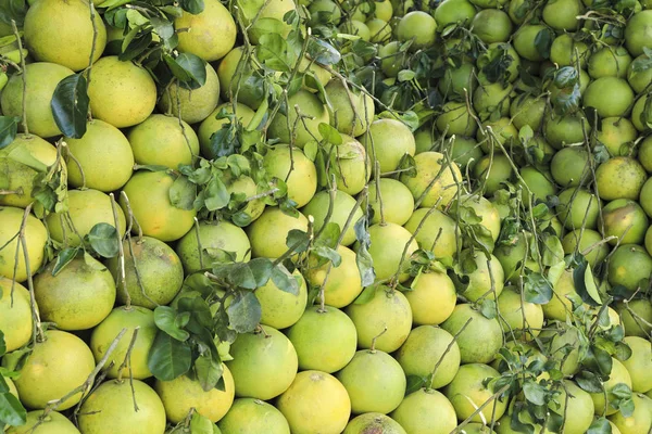 Big Pomelo Fruit Grapefruit Large Citrus Fruit Acid Juicy Pulp — Stock Photo, Image