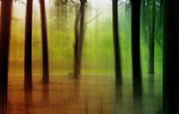 Forest Met Surrealistisch Bewegingsonscherpte Effect Voor Vage Abstracte Achtergrond — Stockfoto