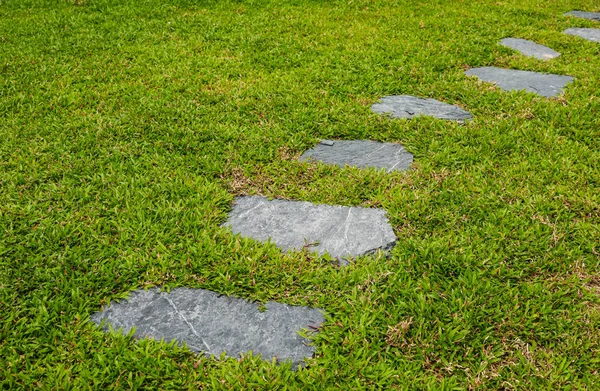 Stone Walking Way in groen gras in de tuin — Stockfoto