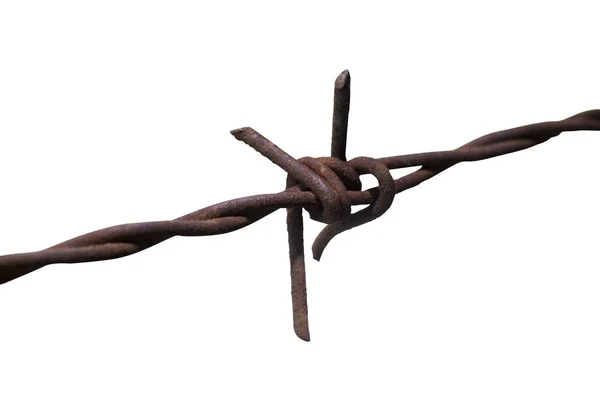 Rusty barbed wire fence isolated on white background. This had c — Stock Photo, Image