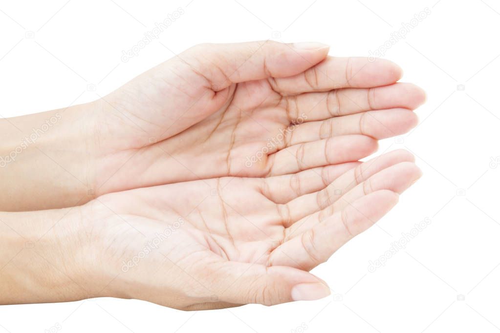 Woman Hands isolated on white background. This had clipping path