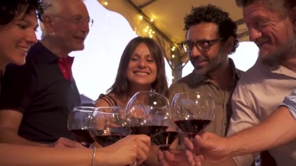 Feest Italië Volwassenen Proosten Met Een Glas Wijn Zes Volwassenen — Stockvideo