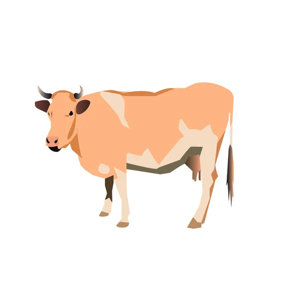 Vector Illustration Cow Realistic Classic Style — Stock Vector