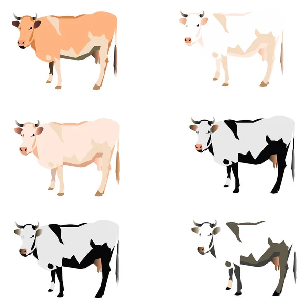 Ilustração Vetorial Vacas Diferentes Cores —  Vetores de Stock