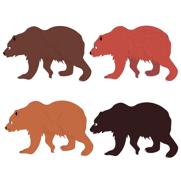 棕熊的病媒图解 — 图库矢量图片