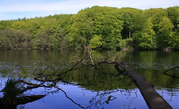 Herthasee Στο Εθνικό Πάρκο Jasmund Νήσος Ruegen — Φωτογραφία Αρχείου