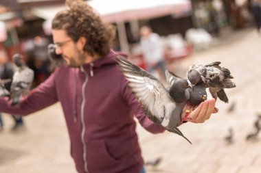 Yakışıklı genç adam tatildeyken şehir meydanında tohum taşıyan güvercin sürüsünü besleyerek eğleniyor. Kollarını açmış, ellerinde bir sürü güvercinle yemek yiyor.