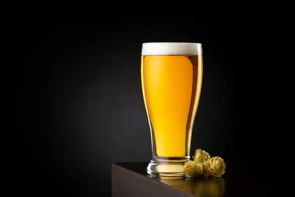 Una Pinta Cerveza Fría Poco Lúpulo Colocado Mostrador Bar Con — Foto de Stock