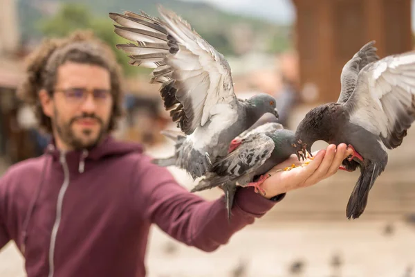 Yakışıklı genç adam tatildeyken şehir meydanında tohumlu güvercin sürüsünü beslerken eğleniyor.