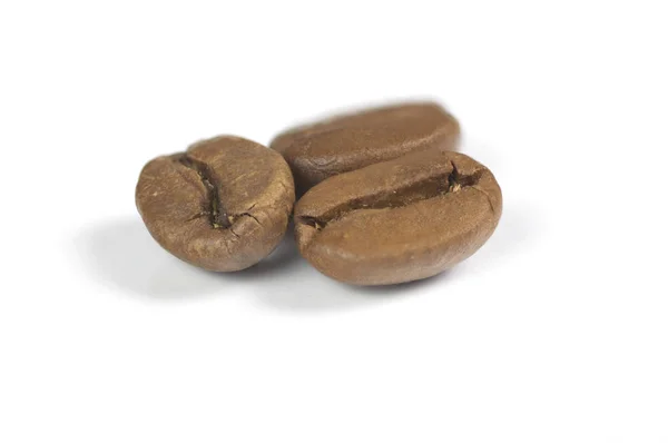beyaz bir arka plan üzerinde arabica kahve çekirdekleri