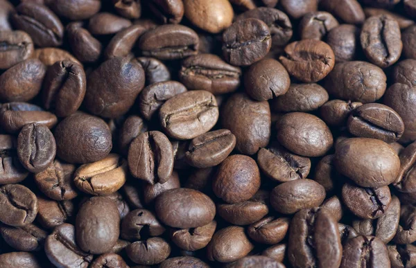 yüksek kaliteli arabica kahve çekirdekleri