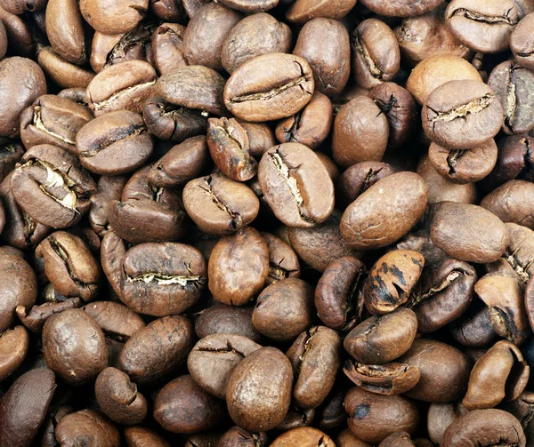 yüksek kaliteli arabica kahve çekirdekleri