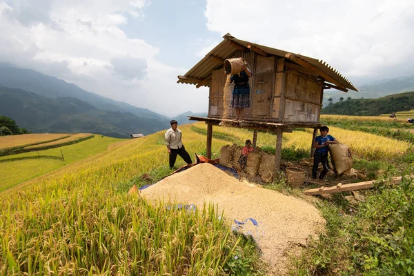 YEN BAI, VIETNAM - September 17, 2016: Farmers are working on th — Stock Photo, Image