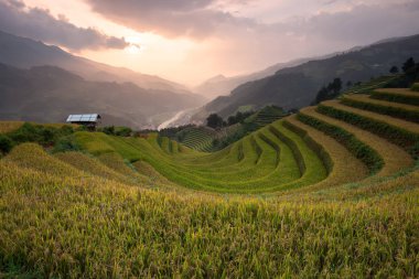 Güzel manzara pirinç tarlaları üzerinde Mu Cang Chai teraslı