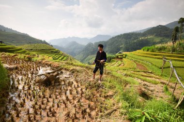 Bai, Vietnam - 16 Eylül 2016 yen: Çiftçiler inci üzerinde çalışıyoruz