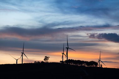 Gün batımında rüzgar türbinlerinin silueti