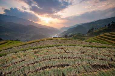 Güzel manzara pirinç tarlaları üzerinde Mu Cang Chai teraslı