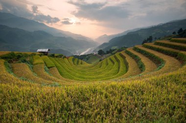 Güzel manzara pirinç tarlaları üzerinde Mu Cang Chai teraslı