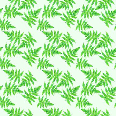 Elle çizilmiş suluboya fern seamless modeli, açık yeşil arka planı üzerinde izole yaprakları ile botanik sulu boya duvar kağıdı