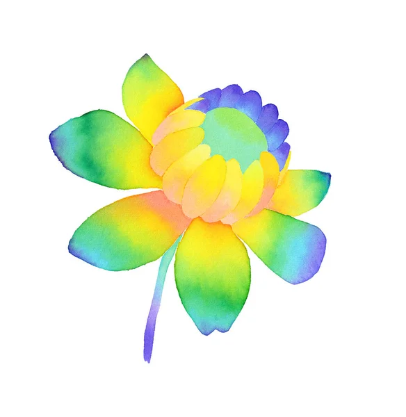 Handgezeichnetes Aquarell Regenbogenblume Llustration Schöne Rose Mit Steigungsblättern Isoliert Auf — Stockfoto
