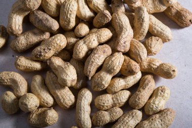 Fıstık bir kabuk. Çiğ fıstık unpeeled