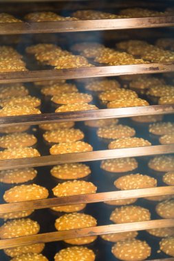 Şekerleme fabrikasındaki modern fırın. Bisküvi, kek ve kurabiye pişirmek için endüstriyel fırınlar.