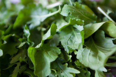 Taze yeşil ham sorrel bırakın