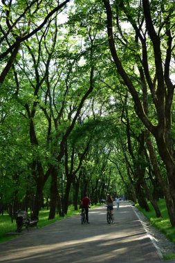 Bir yaz akşamı parkta bir sokak..