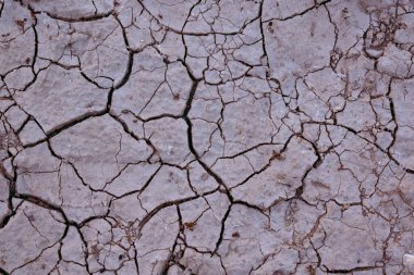 Göl kenarında çatlaklar olan kuru arazi manzarası.