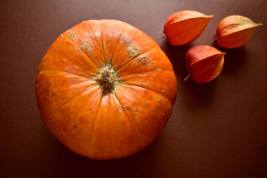 Kahverengi arka planda balkabağı ve bitki örtüsü.