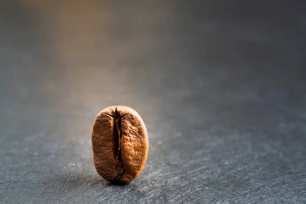 Close up of a roasted coffee bean isolated on slate background. Orange light illuminated the standig up bean. copy space for text