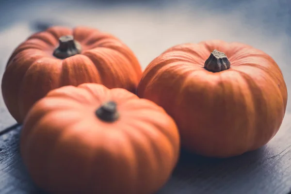 Three Little Pumpkins Wooden Table Beautiful Blurred Grey Background — Stock Photo, Image