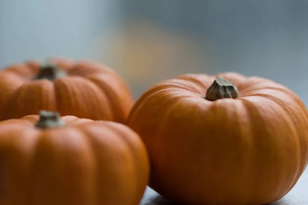 Three Little Pumpkins Wooden Table Beautiful Blurred Grey Background — Stock Photo, Image