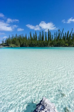 Oro Körfezi, Pines Adası, Yeni Kaledonya 'nın doğal yüzme havuzunun güzel deniz manzarası. Aquamarine yarı şeffaf su.