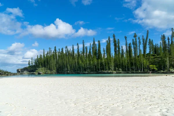 Oro Körfezi Pines Adası Yeni Kaledonya Nın Doğal Yüzme Havuzunun — Stok fotoğraf
