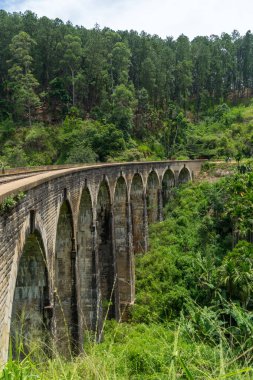 Ella, Sri Lanka yakınlarındaki dağlık bölgede dokuz kemer köprüsü. Her yer orman ve çay tarlası..