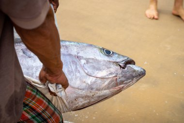 Sahilde elinde ton balığı olan bir balıkçı.