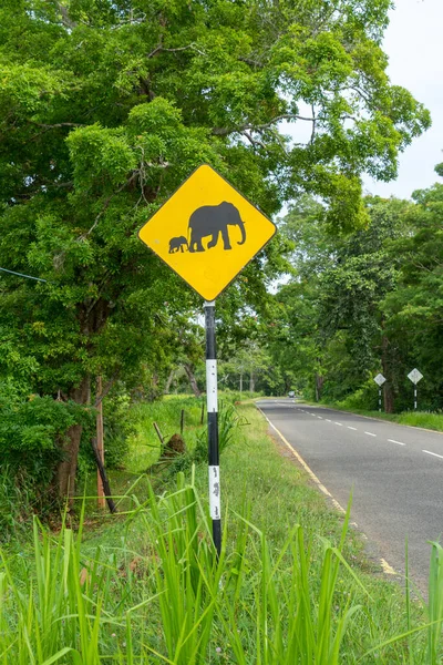 Filler Sri Lanka arka planında sarı yol işareti ve orman uyarısı yapıyor