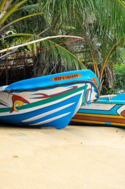 Sahildeki renkli bir balıkçı teknesinin detayları, Arugam Körfezi, Sri Lanka