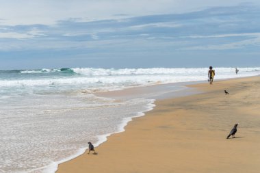 Sahilde sörfçü, güneşli bir gün ve bulutlu bir gökyüzü, Arugam Körfezi, Sri Lanka