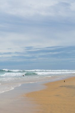 Denizde sörfçüler, turkuaz su, mavi gökyüzü. Arugam Körfezi, Sri Lanka. Portre biçimi