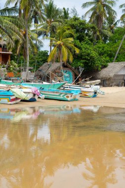 Sahilde renkli geleneksel balıkçı teknesi, Arugam Körfezi, Sri Lanka