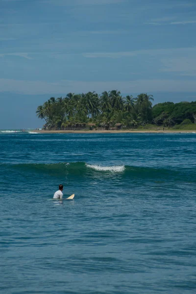 Surfeur Sur Mer Palmiers Sur Fond Ciel Bleu Arugam Bay — Photo