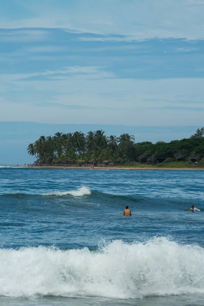 Surfař Moři Palmy Pozadí Modrá Obloha Arugam Bay Srí Lanka — Stock fotografie