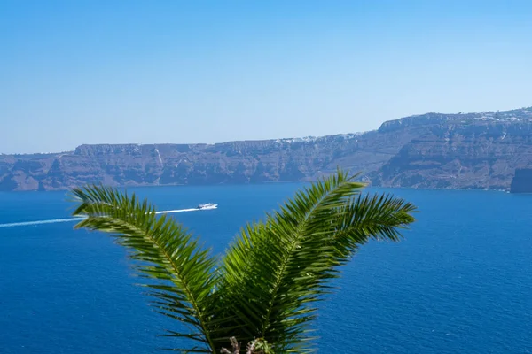 Boot Varen Santorini Caldera Naar Thira Palmboom Voorgrond Reisconcept — Stockfoto